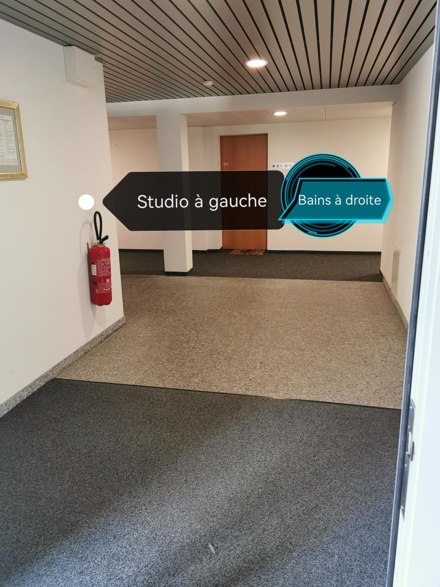 Superbe Studio A Saillon Les Bains Εξωτερικό φωτογραφία